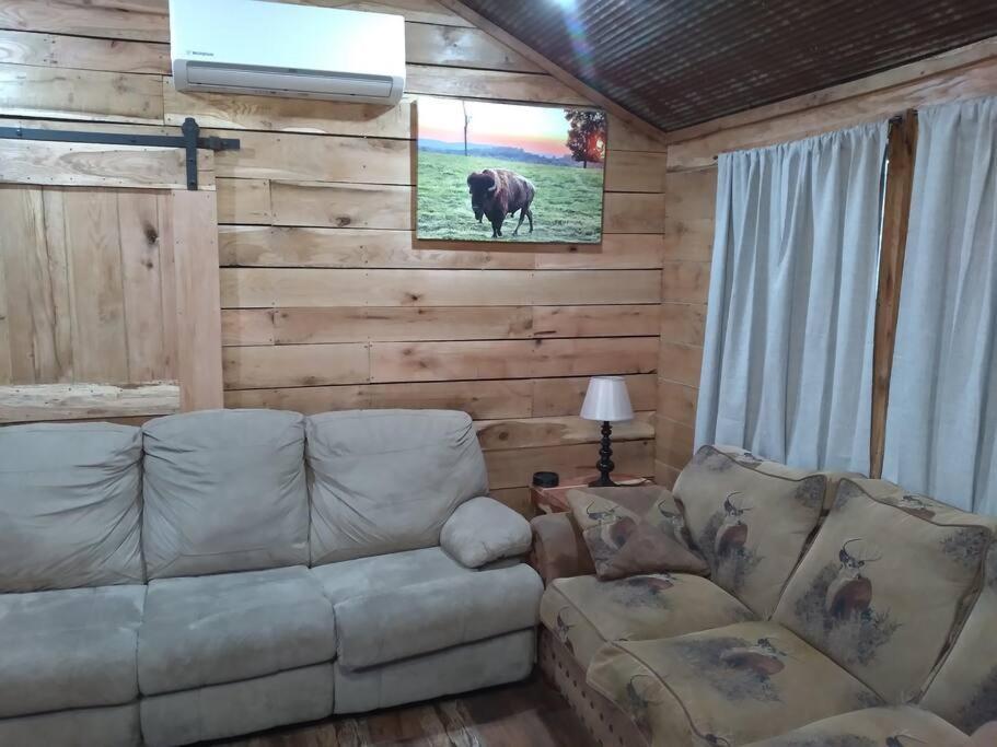 Cabin With A Tree House On A Buffalo Farm . Marshall Экстерьер фото