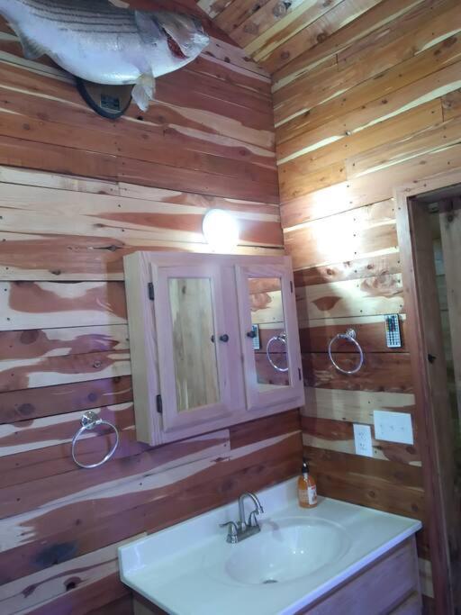 Cabin With A Tree House On A Buffalo Farm . Marshall Экстерьер фото