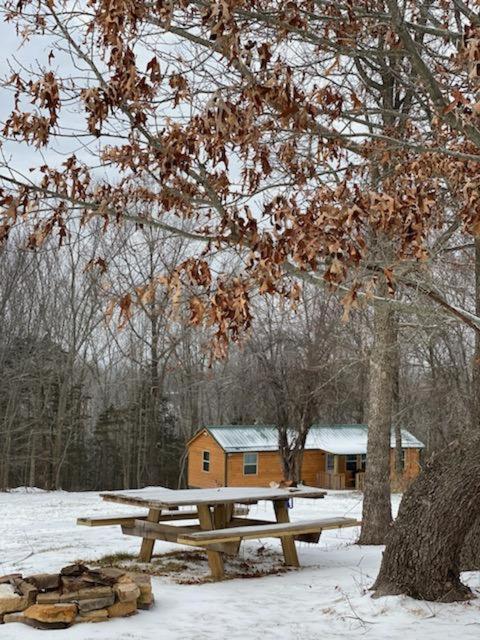 Cabin With A Tree House On A Buffalo Farm . Marshall Экстерьер фото